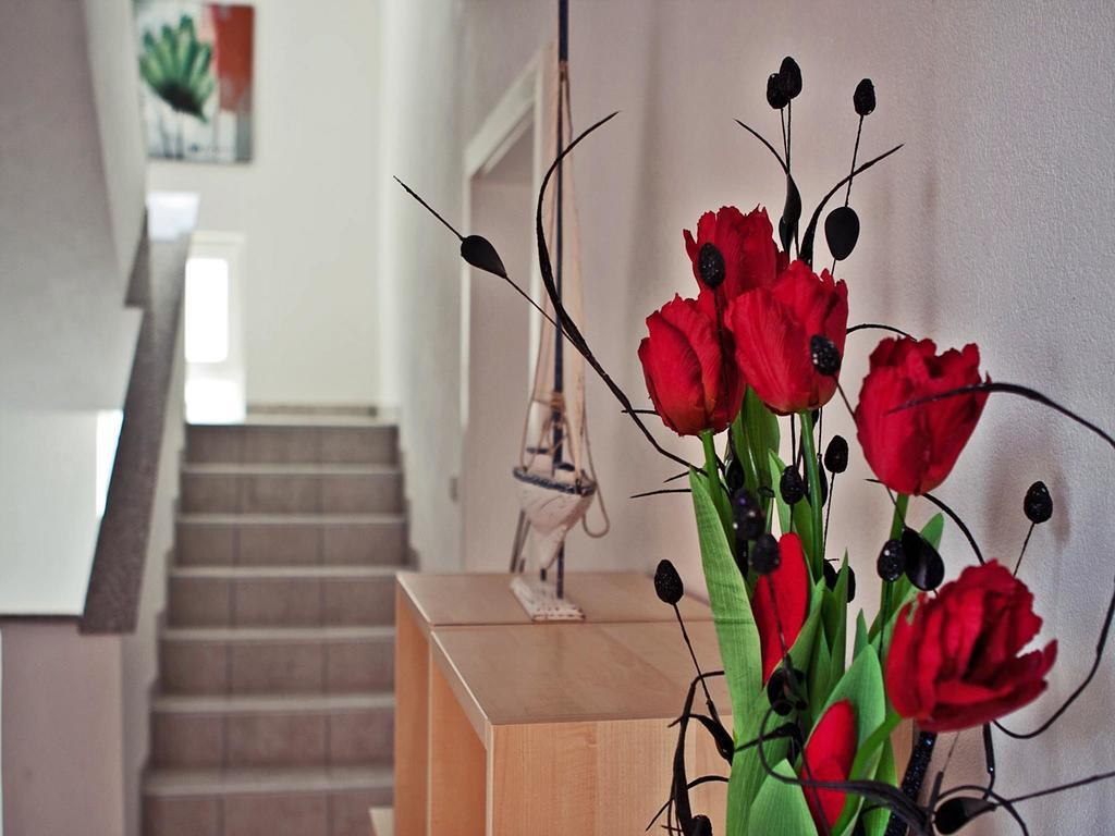 Apartments Paklenica Starigrad Paklenica Εξωτερικό φωτογραφία